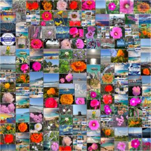 Welcome to MadeinMycountry! Celebrate and Support Local Culture with MadeinMycountry MadeinMycountry is a global platform that celebrates and supports local history, culture, art, and nature conservation efforts.